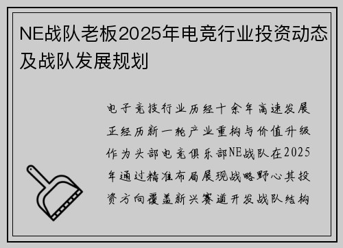 NE战队老板2025年电竞行业投资动态及战队发展规划